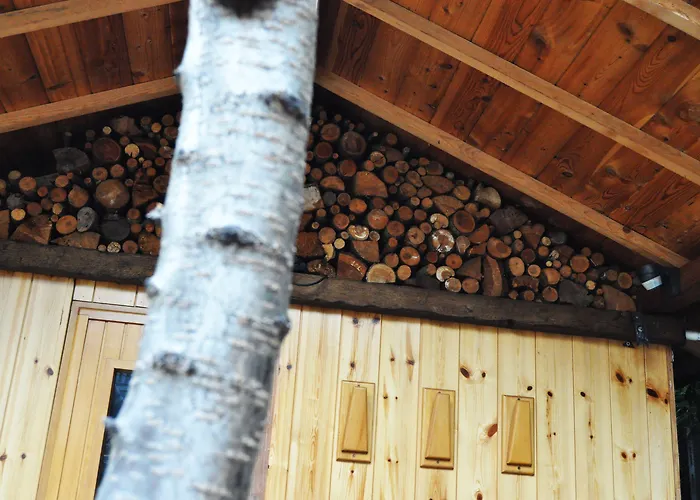 Elena Hotel Saint-Vincent