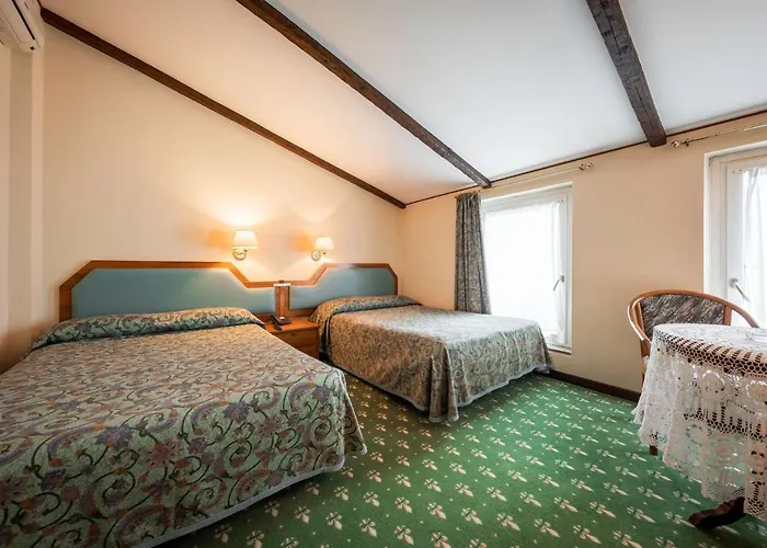 酒店 艾琳娜酒店