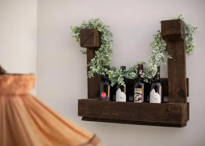 艾琳娜酒店 酒店